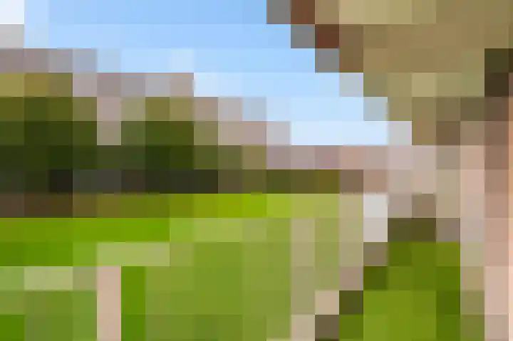 Alkenoord 271 Capelle aan den IJssel thumbnail 18