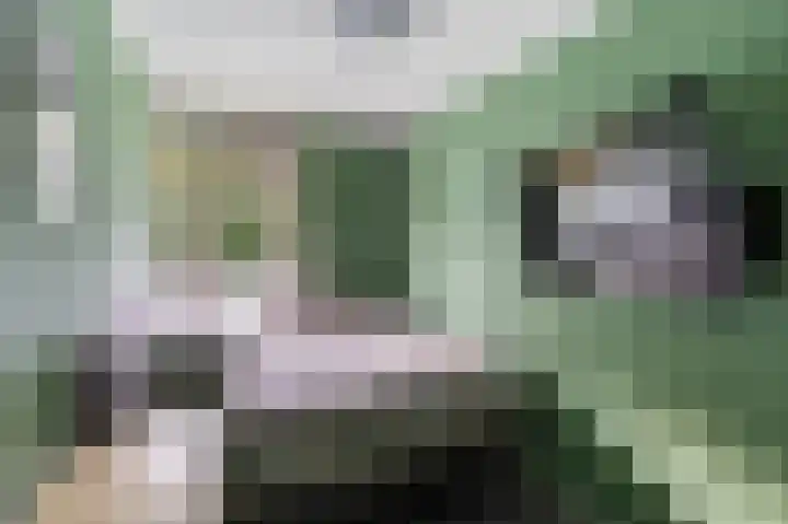 Alkenoord 271 Capelle aan den IJssel thumbnail 19