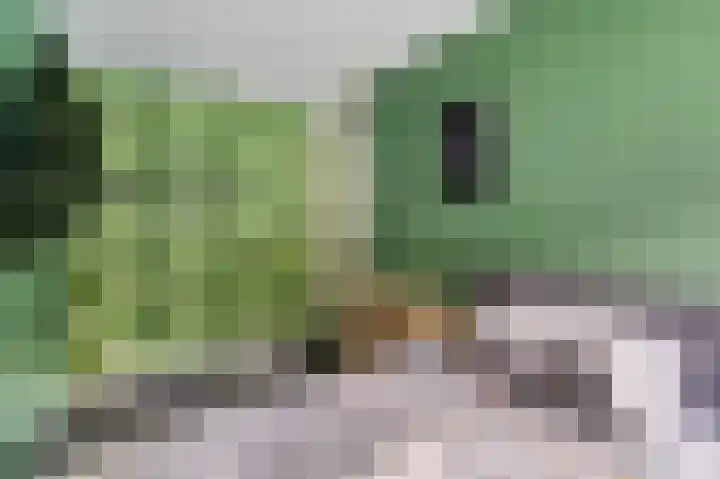 Alkenoord 271 Capelle aan den IJssel thumbnail 20
