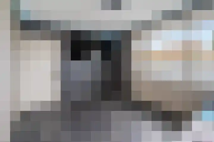 Alkenoord 271 Capelle aan den IJssel thumbnail 22