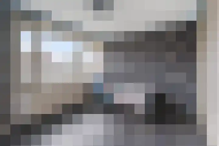 Alkenoord 271 Capelle aan den IJssel thumbnail 4