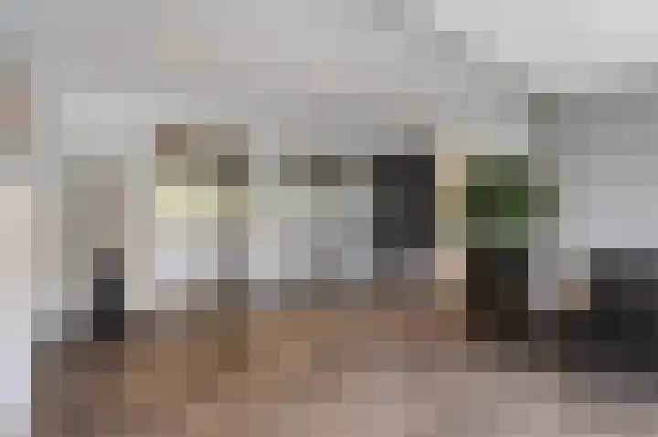 Alkenoord 271 Capelle aan den IJssel thumbnail 7