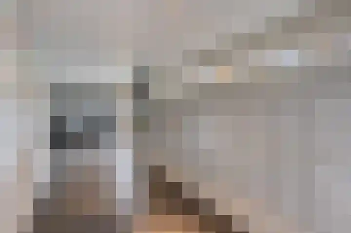 Alkenoord 271 Capelle aan den IJssel thumbnail 8