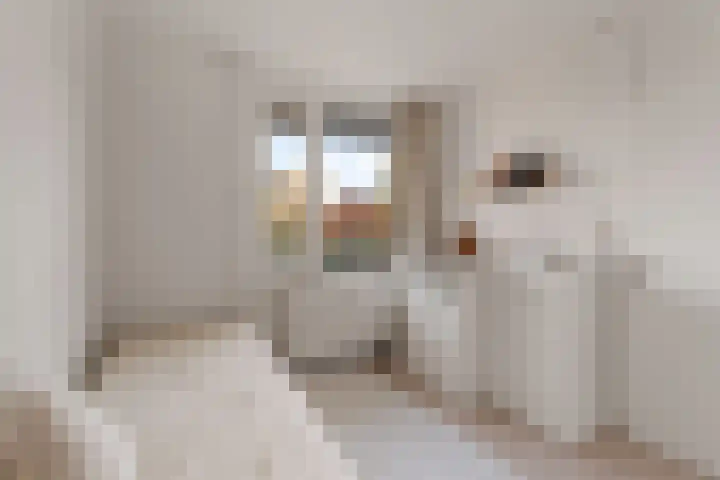 Alkenoord 276 Capelle aan den IJssel thumbnail 23