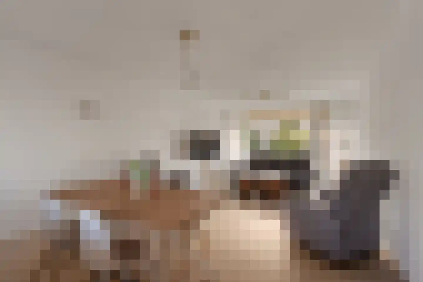 Alkenoord 276 Capelle aan den IJssel thumbnail 8