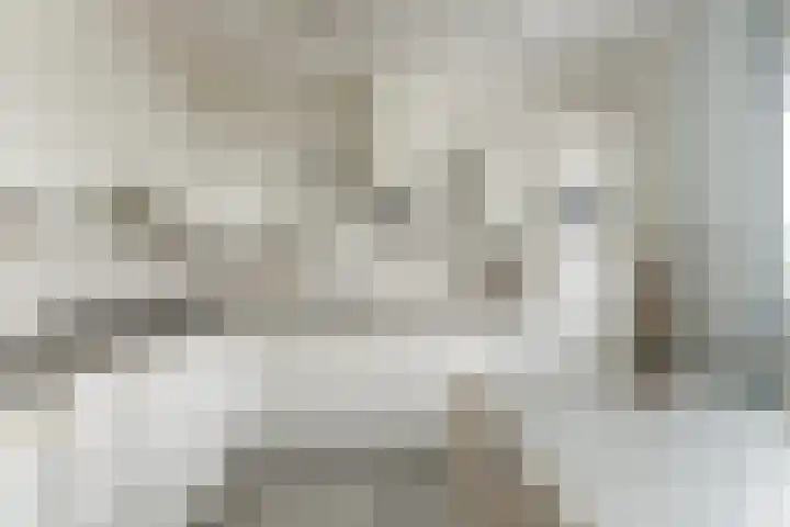 Alkenoord 277 Capelle aan den IJssel thumbnail 12