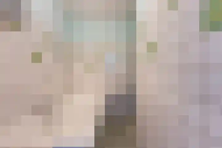 Alkenoord 277 Capelle aan den IJssel thumbnail 14