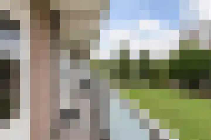 Alkenoord 277 Capelle aan den IJssel thumbnail 17