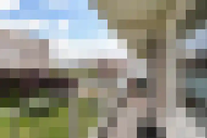 Alkenoord 277 Capelle aan den IJssel thumbnail 18