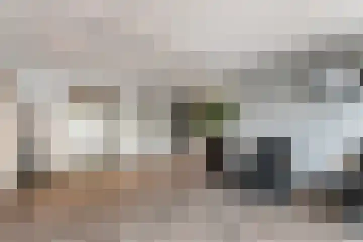 Alkenoord 277 Capelle aan den IJssel thumbnail 19