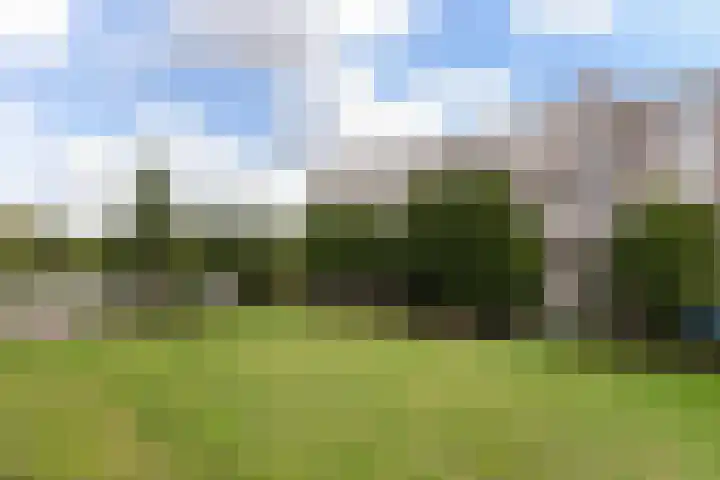 Alkenoord 277 Capelle aan den IJssel thumbnail 21