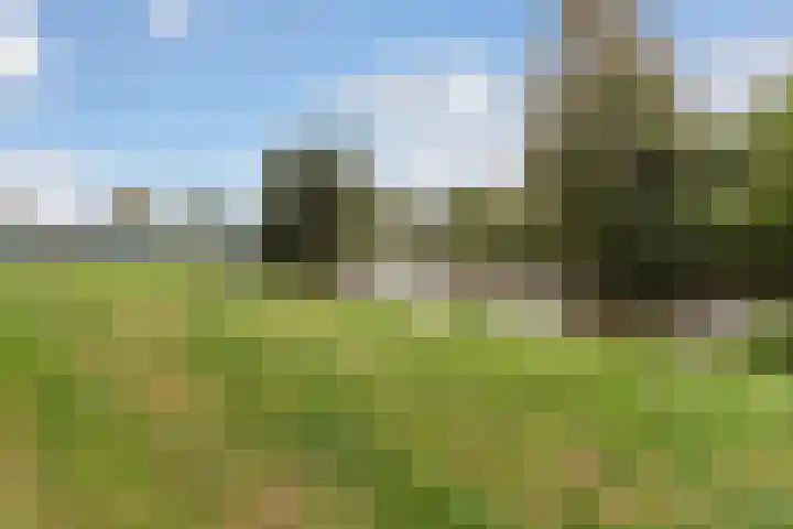Alkenoord 277 Capelle aan den IJssel thumbnail 22