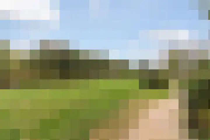 Alkenoord 277 Capelle aan den IJssel thumbnail 23