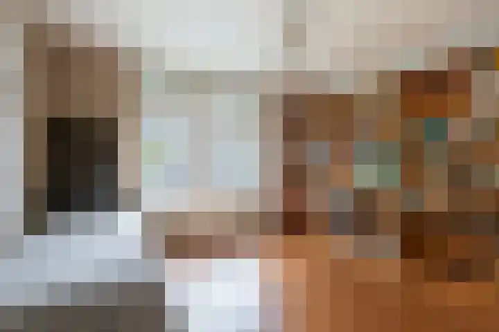 Alkenoord 277 Capelle aan den IJssel thumbnail 4