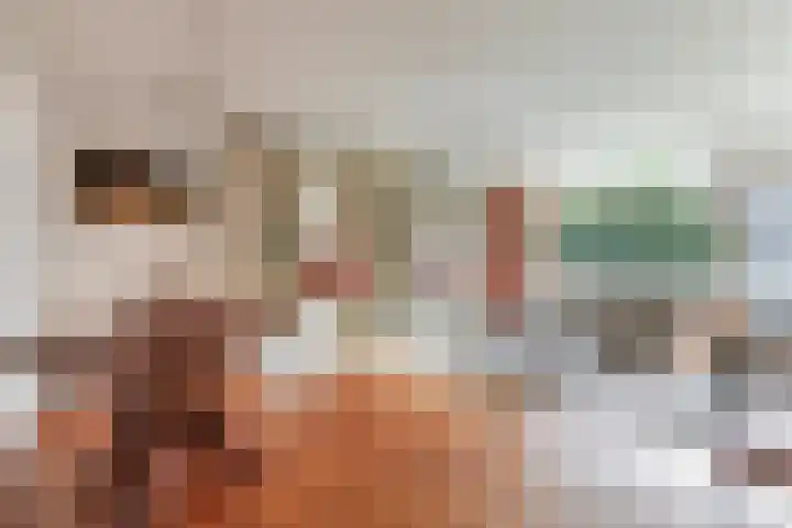 Alkenoord 277 Capelle aan den IJssel thumbnail 6