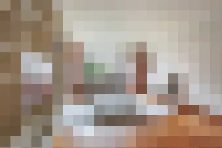 Alkenoord 277 Capelle aan den IJssel thumbnail 7