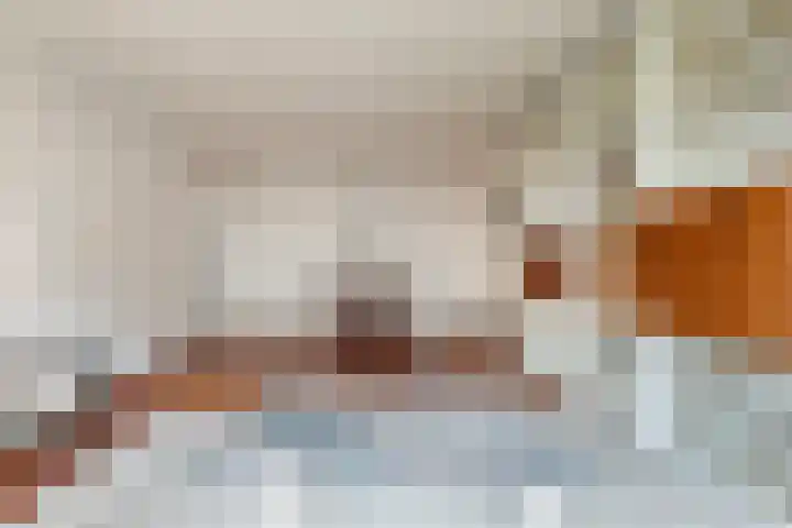 Alkenoord 277 Capelle aan den IJssel thumbnail 8