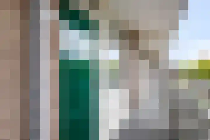 Alkenoord 284 Capelle aan den IJssel thumbnail 16