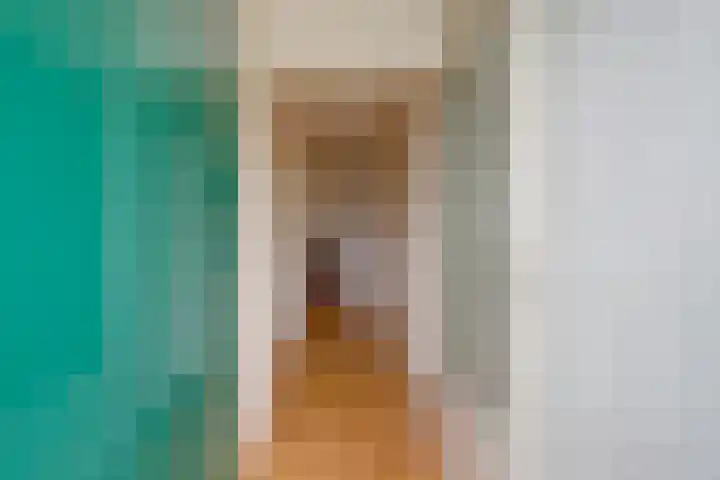 Alkenoord 284 Capelle aan den IJssel thumbnail 17
