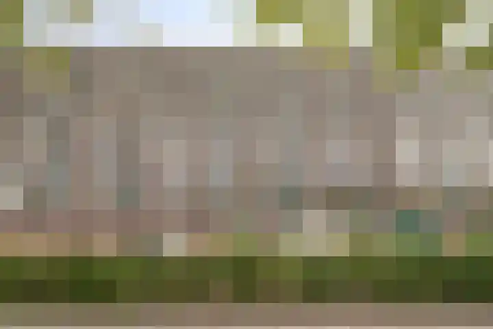 Alkenoord 284 Capelle aan den IJssel thumbnail 20