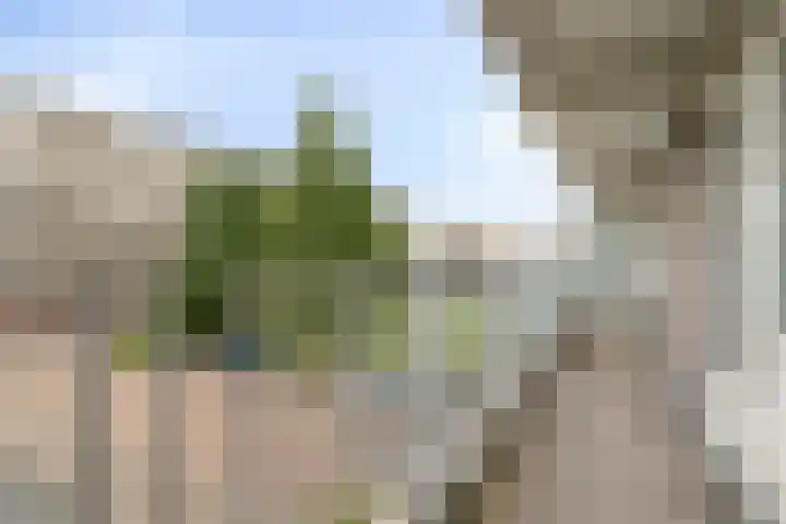 Alkenoord 284 Capelle aan den IJssel thumbnail 22