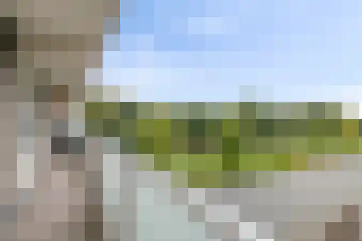 Alkenoord 284 Capelle aan den IJssel thumbnail 23