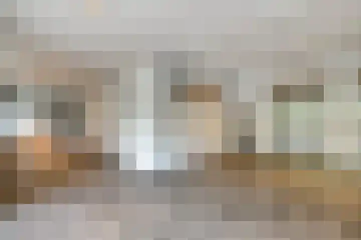 Alkenoord 284 Capelle aan den IJssel thumbnail 24