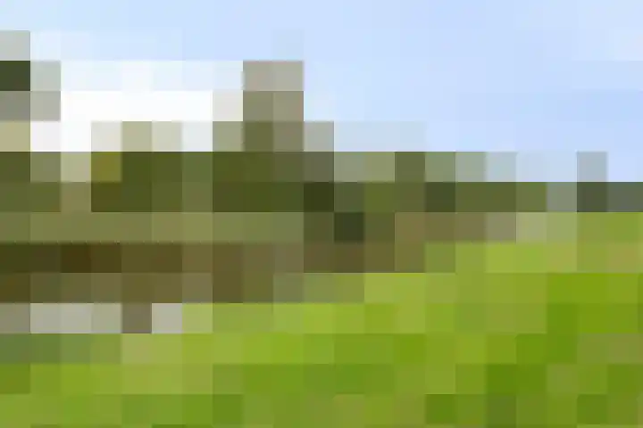 Alkenoord 284 Capelle aan den IJssel thumbnail 25