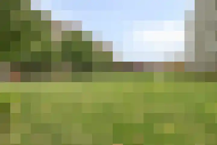 Alkenoord 284 Capelle aan den IJssel thumbnail 26