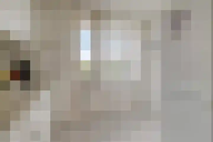 Alkenoord 284 Capelle aan den IJssel thumbnail 8