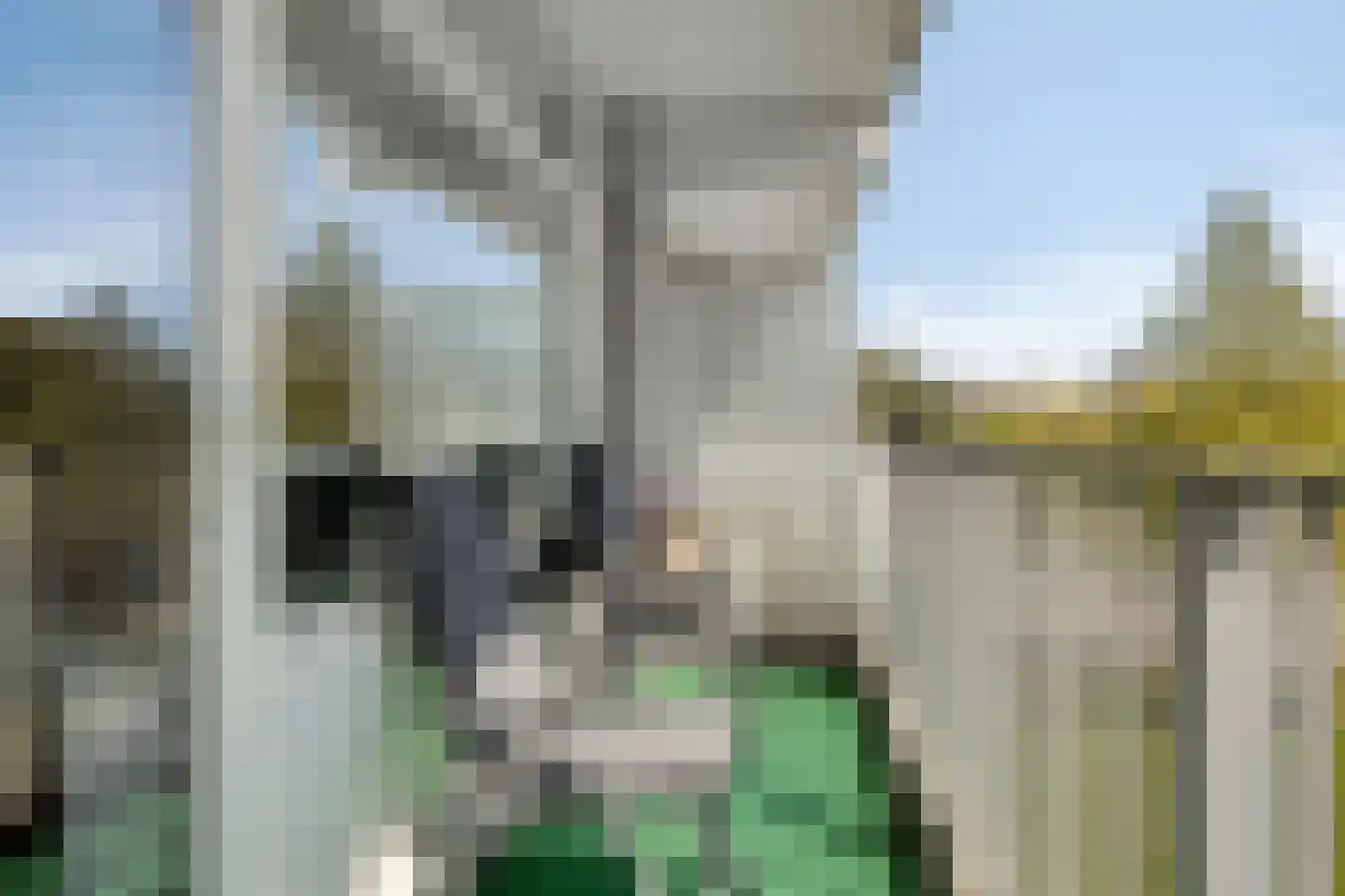 Alkenoord 288 Capelle aan den IJssel thumbnail 15