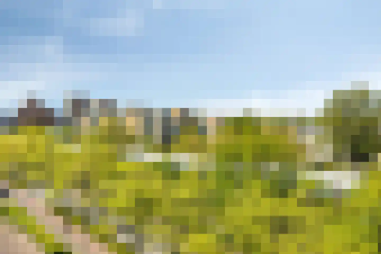 Alkenoord 288 Capelle aan den IJssel thumbnail 32