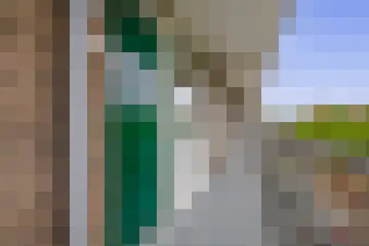 Alkenoord 289 Capelle aan den IJssel thumbnail 10