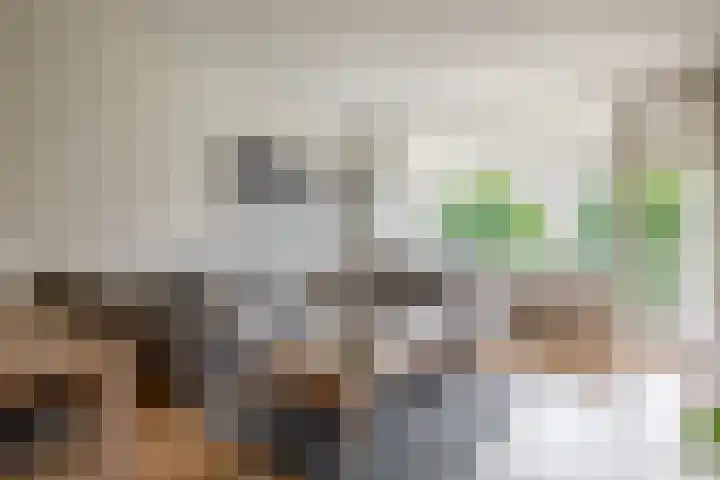 Alkenoord 289 Capelle aan den IJssel thumbnail 14