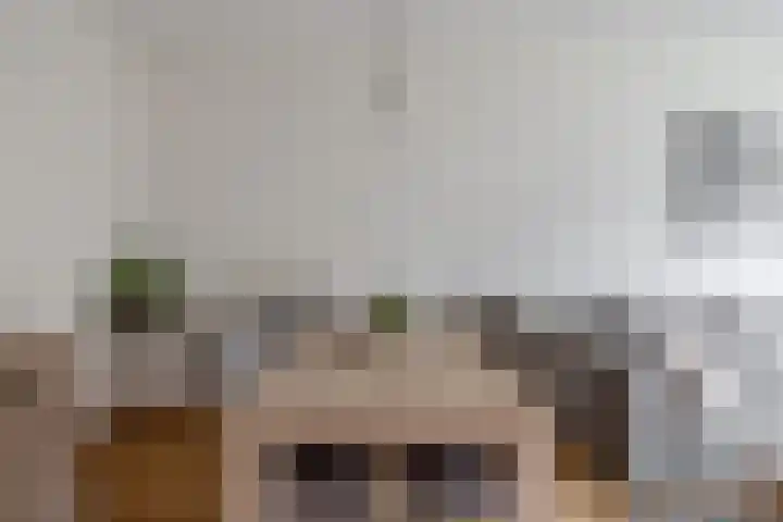 Alkenoord 289 Capelle aan den IJssel thumbnail 15