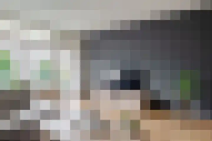 Alkenoord 289 Capelle aan den IJssel thumbnail 18