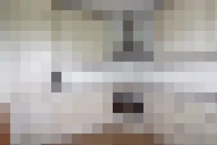 Alkenoord 289 Capelle aan den IJssel thumbnail 21