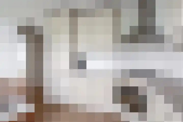 Alkenoord 289 Capelle aan den IJssel thumbnail 22