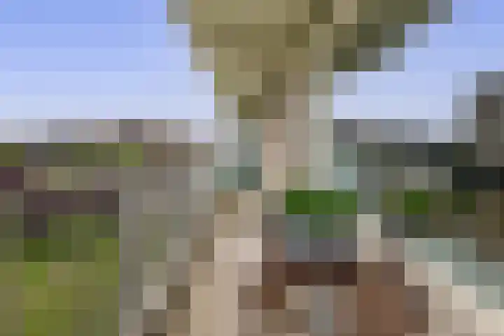 Alkenoord 289 Capelle aan den IJssel thumbnail 25