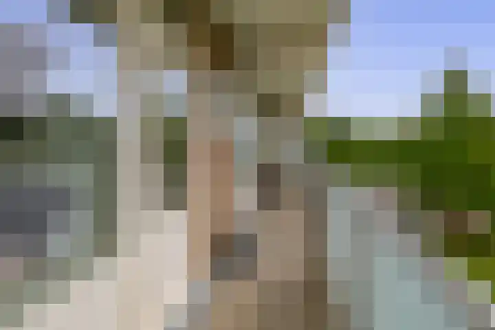 Alkenoord 289 Capelle aan den IJssel thumbnail 26
