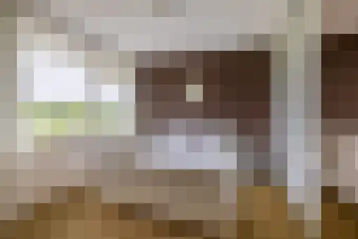 Alkenoord 289 Capelle aan den IJssel thumbnail 27