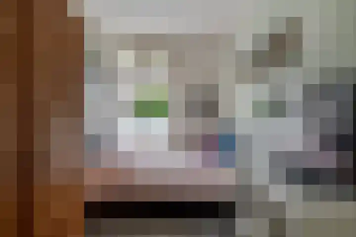 Alkenoord 289 Capelle aan den IJssel thumbnail 32