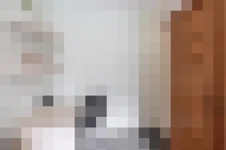 Alkenoord 289 Capelle aan den IJssel thumbnail 33