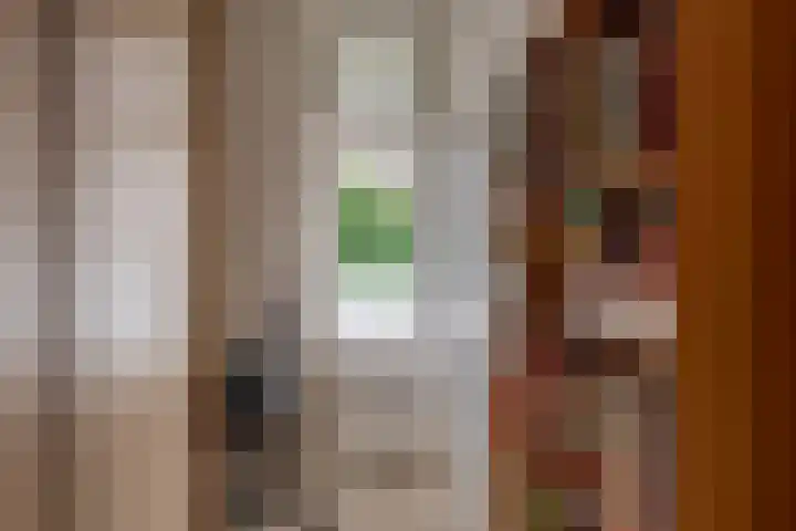 Alkenoord 289 Capelle aan den IJssel thumbnail 34