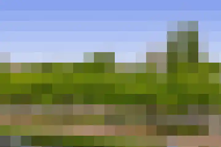 Alkenoord 289 Capelle aan den IJssel thumbnail 5