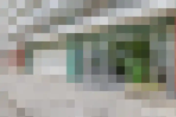 Alkenoord 289 Capelle aan den IJssel thumbnail 6