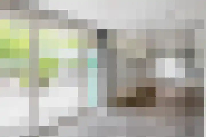 Alkenoord 289 Capelle aan den IJssel thumbnail 7