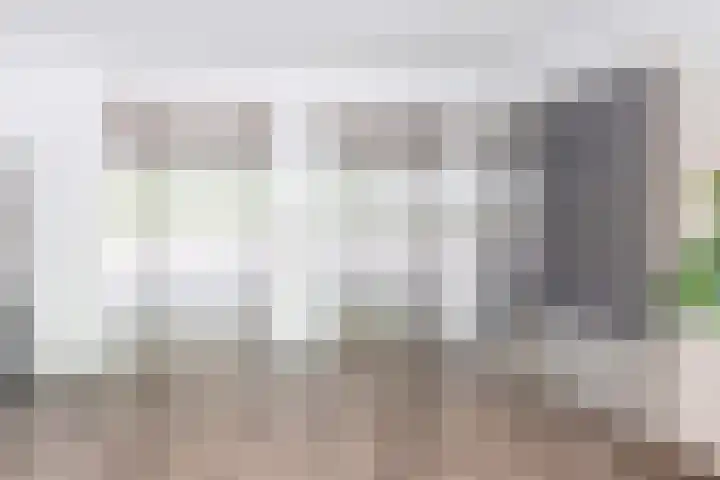 Alkenoord 289 Capelle aan den IJssel thumbnail 8