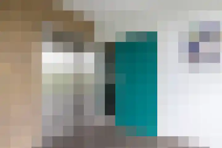 Alkenoord 289 Capelle aan den IJssel thumbnail 9