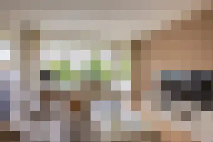 Alkenoord 29 Capelle aan den IJssel thumbnail 13